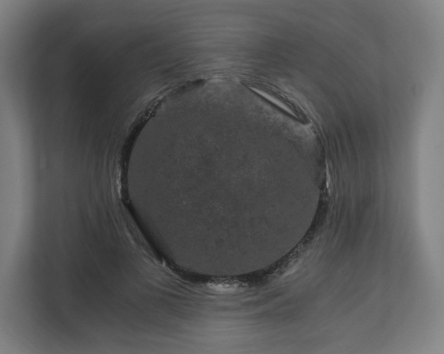 X0000111120693200907070958