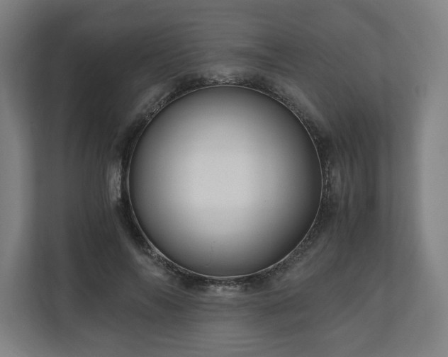 X0000111120694200907070958