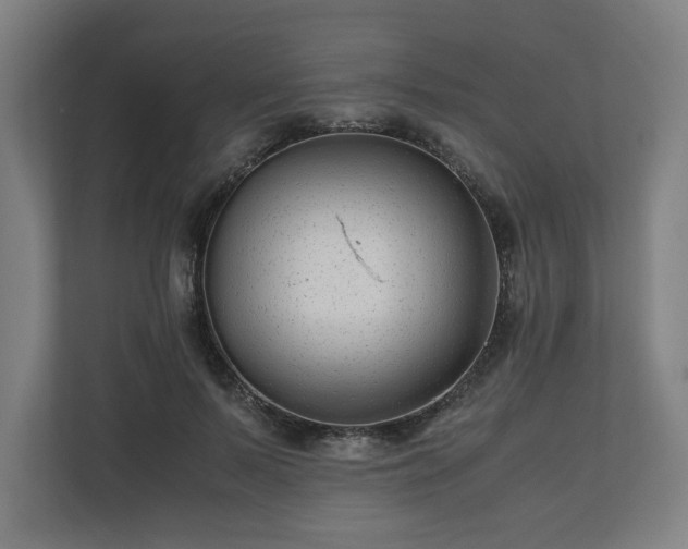 X0000111120695200907070958