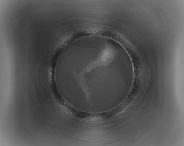 X0000111120696200907070958