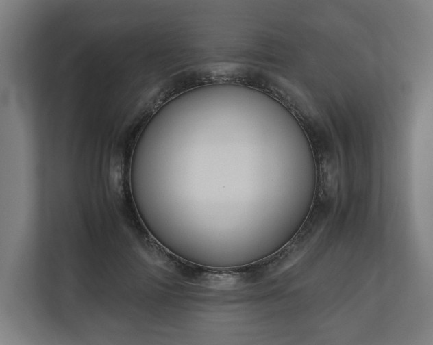 X0000111120698200907070958