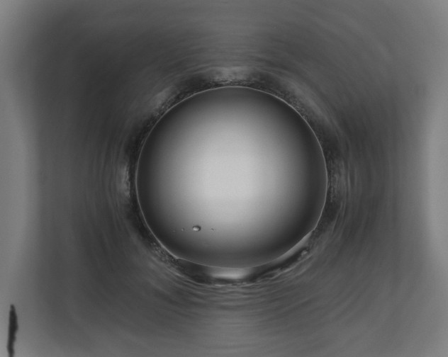 X0000111120700200907070958