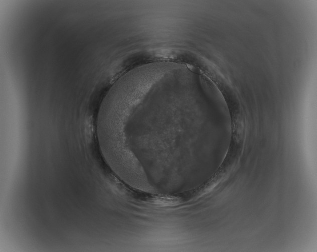 X0000111120707200907070958