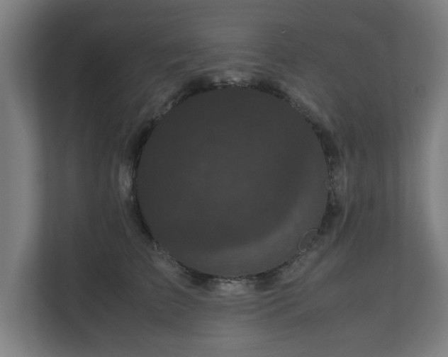 X0000111120709200907070957