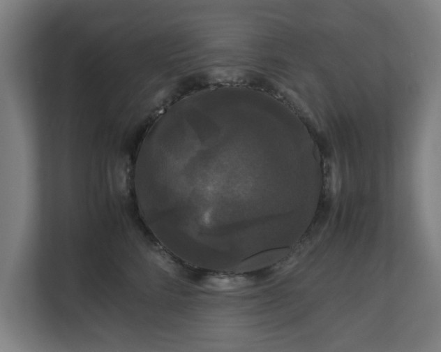 X0000111120712200907070957