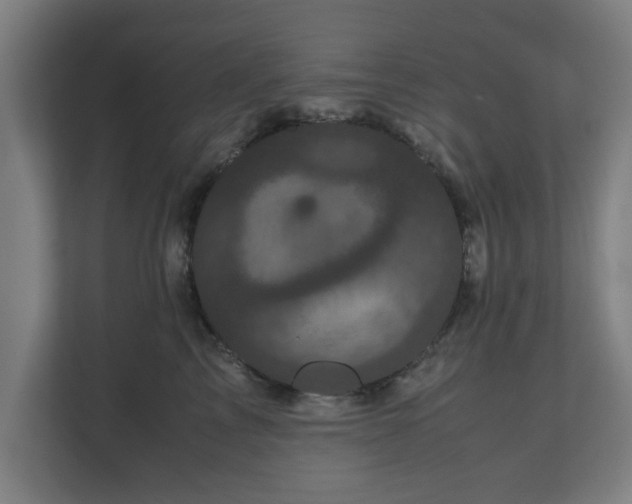 X0000111120713200907070957