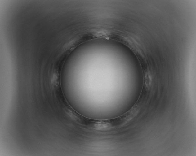 X0000111120714200907070957