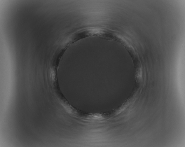 X0000111120715200907070957