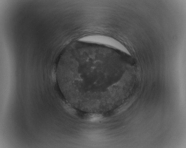 X0000111120719200907070957