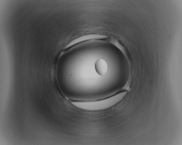 X0000111120720200907070957