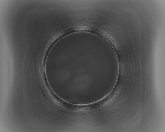 X0000111120721200907070957