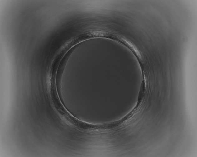 X0000111120722200907070957