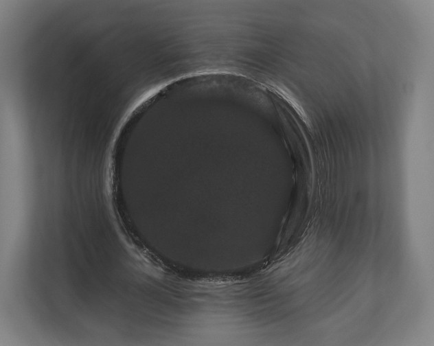 X0000111120724200907070957