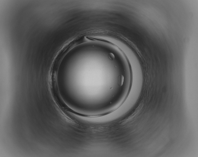 X0000111120725200907070957