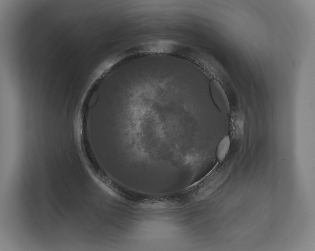 X0000111120726200907070957