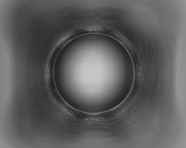 X0000111120727200907070957