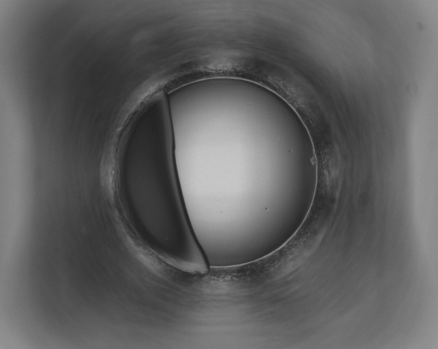 X0000111120728200907070957