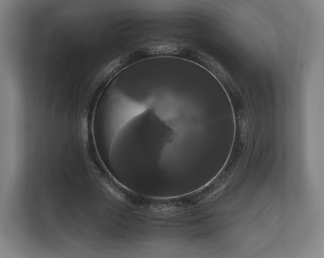 X0000111120729200907070957