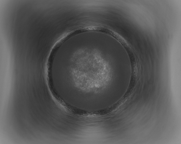 X0000111120730200907070957