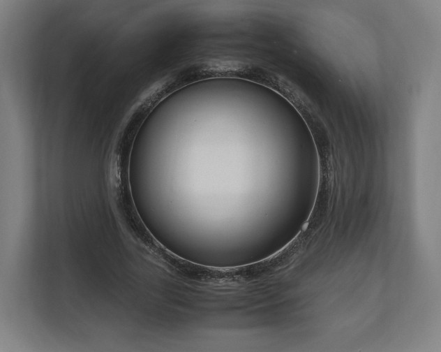 X0000111120731200907070957