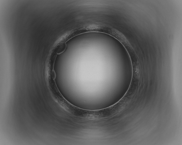 X0000111120732200907070957