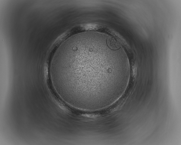 X0000111120733200907070957