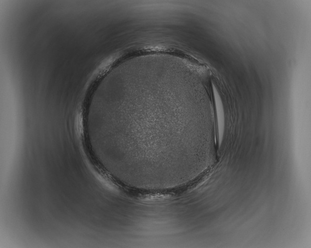 X0000111120734200907070957