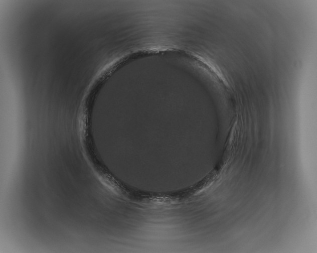 X0000111120736200907070957