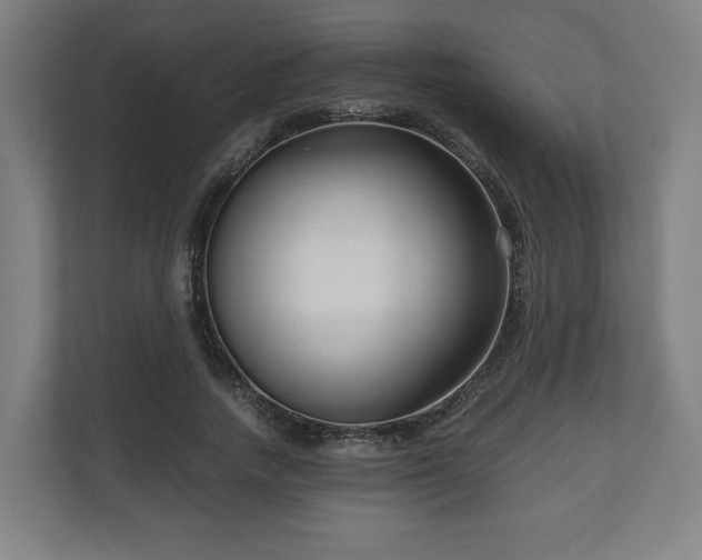 X0000111120738200907070957