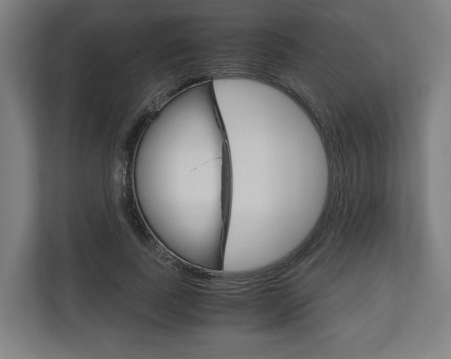 X0000111120739200907070957