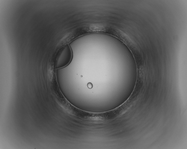 X0000111120741200907070957