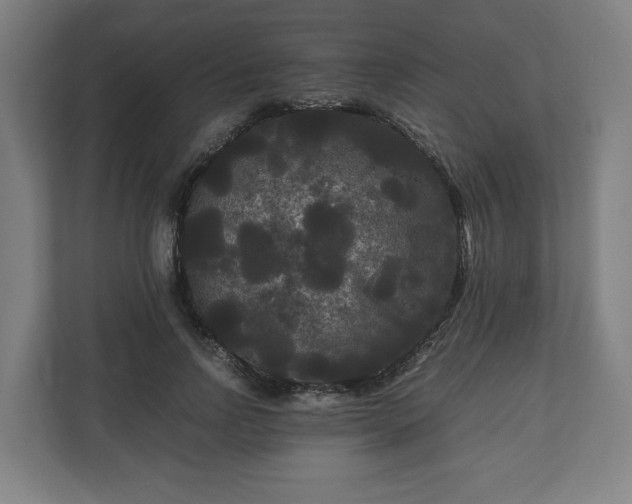 X0000111120742200907070957