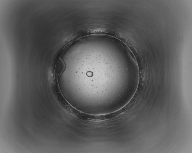 X0000111120743200907070957