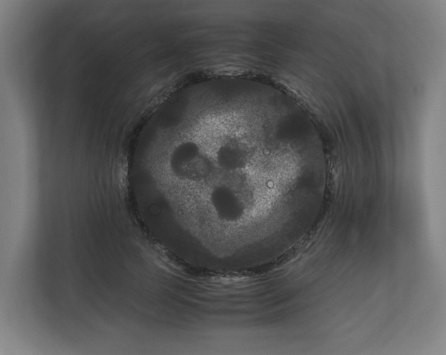 X0000111120745200907070957