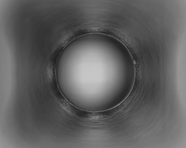 X0000111120746200907070957