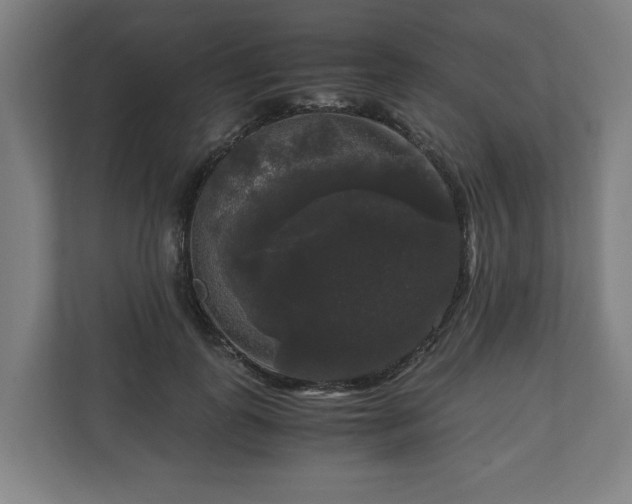 X0000111120747200907070957