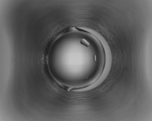 X0000111120750200907070957