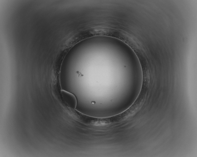 X0000111120751200907070957