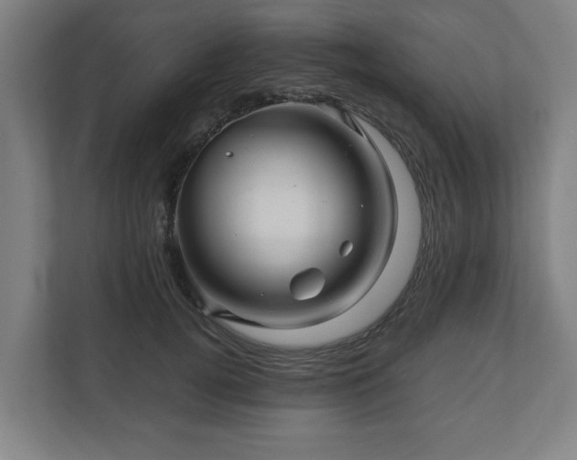 X0000111120752200907070957