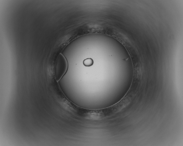 X0000111120756200907070957