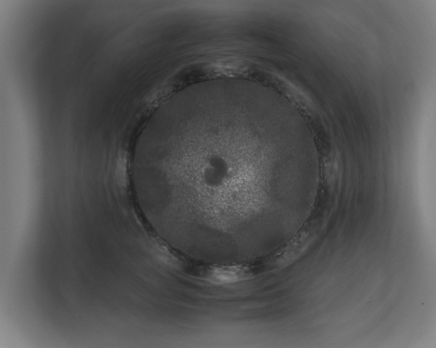 X0000111120757200907070957