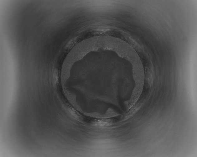 X0000111120758200907070957