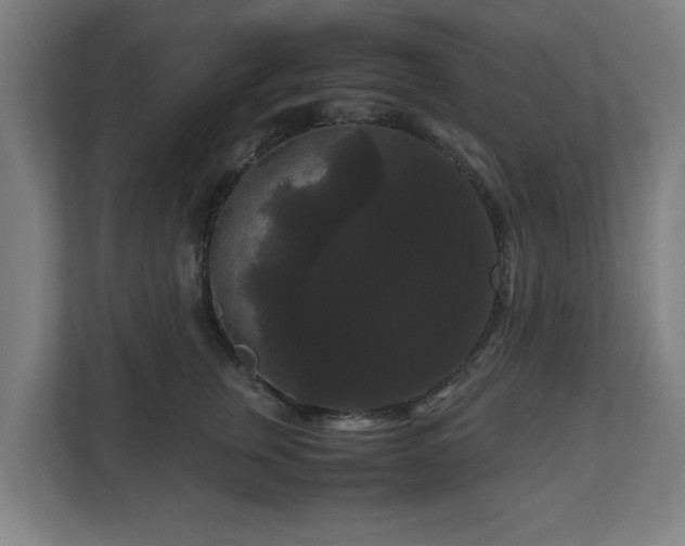 X0000111120759200907070957