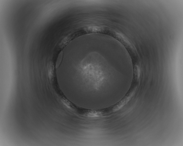 X0000111120760200907070957