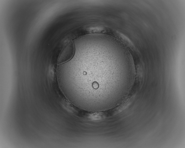 X0000111120761200907070957