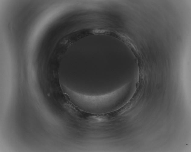 X0000111120763200907070957