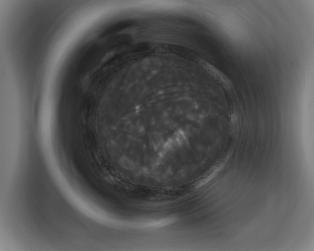 X0000111120765200907070957