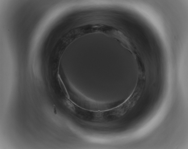 X0000111120766200907070957