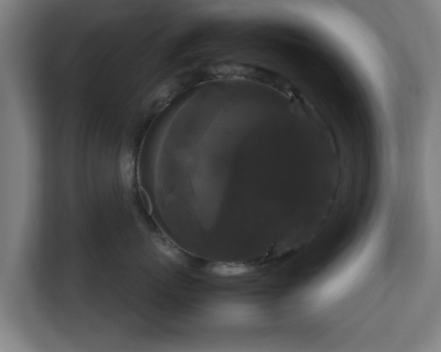 X0000111120767200907070957