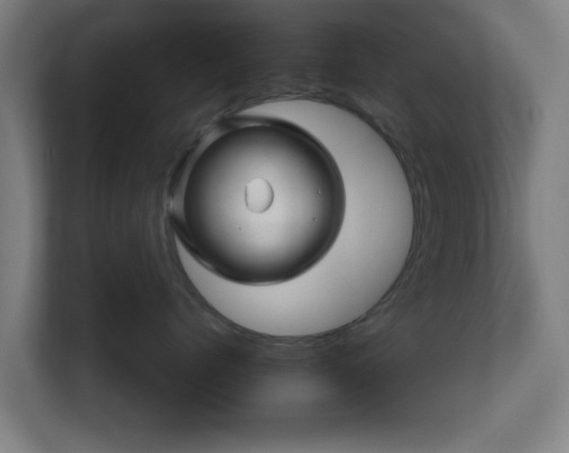 X0000111120768200907070957